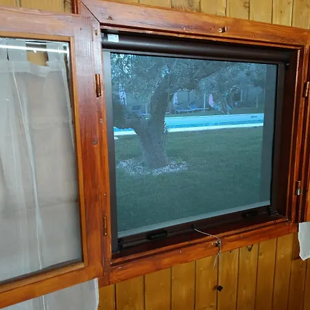 Felicia Torino di Sangro