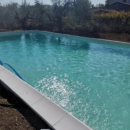 Felicia * 托里诺迪桑格罗