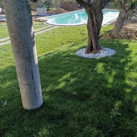 公寓 Felicia 托里诺迪桑格罗