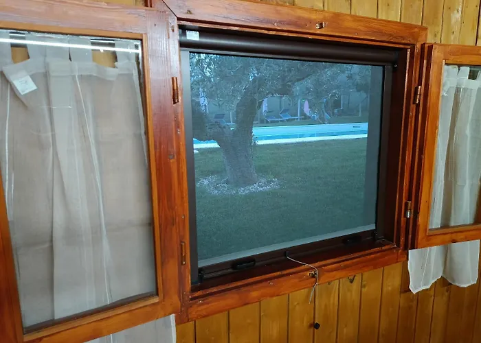 Felicia Torino di Sangro